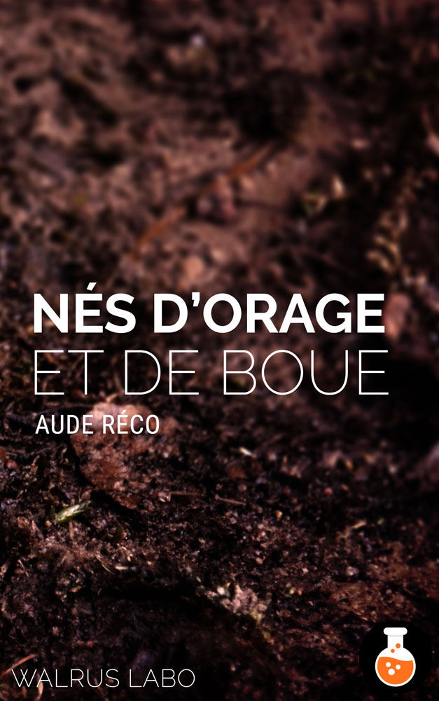 nes-orage-boue-couv